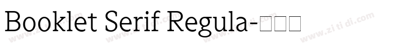 Booklet Serif Regula字体转换